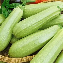 Кабачок Садиба Акробат 10 г (000022566) - мініатюра 3