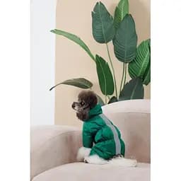 Комбінезон Pet Fashion EGO ХS2 зелений для собак - мініатюра 8