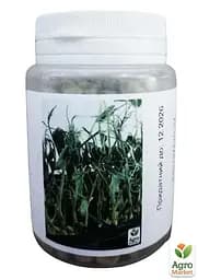 Насіння Agro-Market Мікрозелень горох у банці 40 г (45206) - мініатюра 2