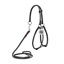 Шлея з повідцем для собак Waudog Soft з QR паспортом шкіряна кругла Д 6 мм, А 42-60 см, В 46-64 см чорна