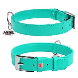 Ошейник для собак кожаный Waudog Glamour с QR-паспортом без украшений M Ш 20 мм Д 30-39 см ментоловый