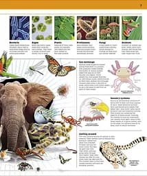 Knowledge Encyclopedia Animal! - мініатюра 3