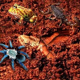 Тропічний субстрат Komodo Tropical Terrain 6 л (U46015) для терраріумів із високою вологістю - мініатюра 5