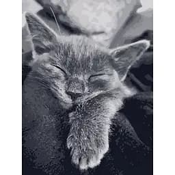 Картина за номерами ArtCraft Котяча подяка 40х50 см 11612-AC