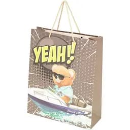 Пакет подарунковий Yeaн 802M Різнокольоровий