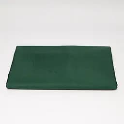 Простирадло Moon&Star Evergreen Dream Satin Premium 110х160 см - мініатюра 2