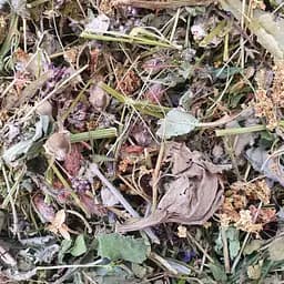 100 г травяной грудной сбор (Ангина,бронхит,пневмония,простуда)