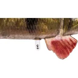 Силікон Savage Gear 4D Line Thru Perch SS 23cm 145g 02-Firetiger (поштучно) - мініатюра 3