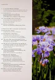 Журнал Антиквар №140. «Деренівська купіль» учора і сьогодні - мініатюра 6