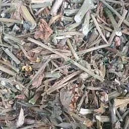 100 г сурепка обыкновенная трава сушеная - свежий урожай