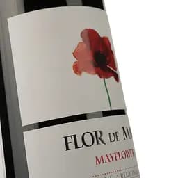 Вино Magnum Flor de Maio Red DO Alentejo 2021 червоне сухе 0.75 л - мініатюра 4
