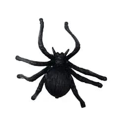 Паук с толстенькими ножками