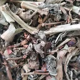 100 г белена трава сушеная - свежий урожай