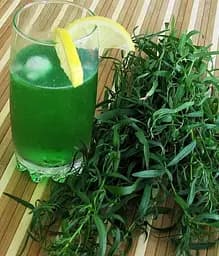 Саджанець Agro-Market Тархун Монарх (вишукана кулінарна пряність) (52924) 1 шт в упаковці