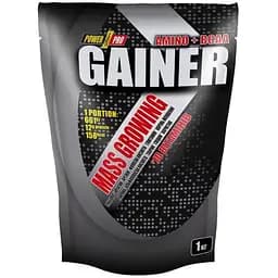Гейнер Power Pro Gainer 1 кг Ягода