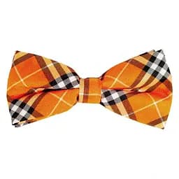 Краватка-метелик Клітина