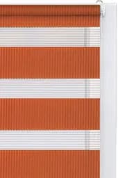 Ролета День-Ніч Ржа 55*160 - мініатюра 4