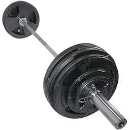 Штанга олимпийская Newt TI-NE0100-2200 100 кг Гриф 2.2 м