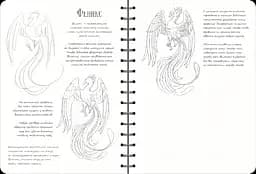Скетчбук ОКО Sketch Book Скетчбук Малюємо фантастичних істот експрес курс O SB RFS - мініатюра 5