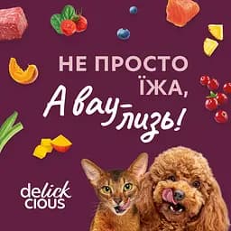 Ласощі кремові для котів Delickcious курка з додаванням сиру та спаржі 60 г (4х15 г) - мініатюра 7