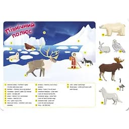 Дитяча книжка з наліпками Торсінг Fanny English Північний полюс +186 наліпок (К01516) - мініатюра 2