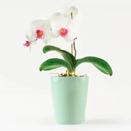 Горщик для квітів МВМ My Home, 16 см, зелений (DH-FLOWERS-29 GREEN) - мініатюра 2