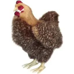Мягкая игрушка Hansa Курица 35 см (4588)