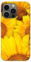 TPU чохол Букет соняшників