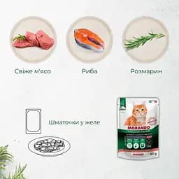 Вологий корм для стерилізованих котів Morando Tradizioni Sterilized беззерновий шматочки в желе з лососем та тунцем 85 г - мініатюра 3