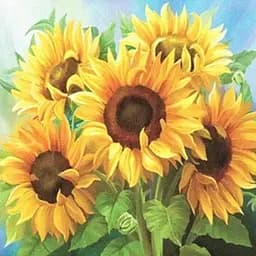 Алмазна мозаїка зі стразами на підрамнику повна викладка Соняхи 30*30см Квіти