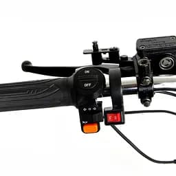 Триколісний сітікоко EVOBIKE Grizzly X3 Pro з вантажкою корзиною - мініатюра 4