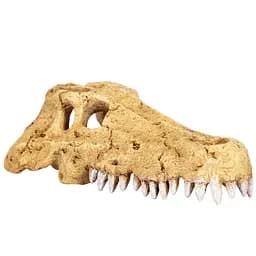 Крокодилячий череп Repti-Zoo Crocodile Skull M ERS34S 11x6x4 см - декоративне укриття для тераріуму та акваріуму - мініатюра 3