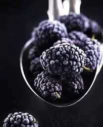 Саджанець Agro-Market Шовковиця Чорна перлина (літній сорт, середній термін дозрівання) (24006) 1 шт. в упаковці - мініатюра 2