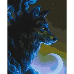 Картина по номерам Дух ночи 40х50 см 11621-AC