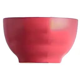 Бульйонниця Vittora Мамина турбота VT-P-43140 650 мл в асортименті (134851)