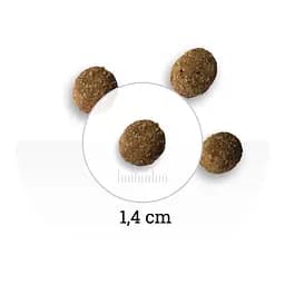 Сухий корм для дорослих собак малих порід Bon Appetit Adult Dog Mini Chicken&Rice з куркою та рисом 2 кг - мініатюра 5