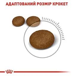 Сухий корм для кішок з проблемною шерстю Royal Canin Hair&Skin Care з куркою 3.2 кг + 800 г - мініатюра 2