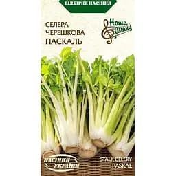 Семена сельдерея черешкового Семена Украины Паскаль 0.5 г (573000)