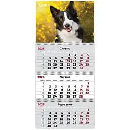 Календар настінний Axent Dogs 3 квартальний 2026 рік (8803-26-18-A)