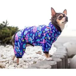 Вітровка для собак Waudog Clothes, Рік та Морти 1, XS30 - мініатюра 4