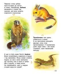 Енциклопедія дошкільника. Україна - Каспарова Юлія - мініатюра 5