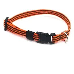 Нашийник для собак Zoo-hunt Тренд капроновий ОК 1,0 см 19-30 см помаранчевий