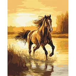 Картина за номерами на підрамнику Brushme Вітер у гриві