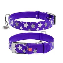 Нашийник для собак шкіряний Waudog Glamour з QR-паспортом візерунок "Зірочка" світлонакопичувальний/світловідбивний L Ш 25 мм,