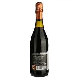 Вино ігристе Puianello Lambrusco Grasparossa Colli di Scandiano e di Canossa червоне сухе 0.75 л - мініатюра 2