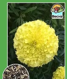 Насіння Весна Чорнобривці Лимонне диво 0.3 г (11250)