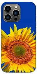 TPU чохол Sunflower