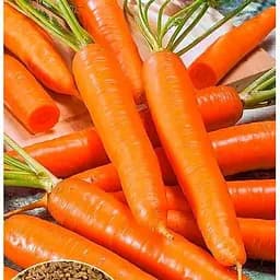 Насіння Весна Морква Руфіна Органік 20 г (177897)