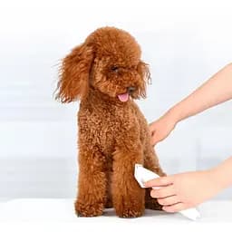 Машинка для стрижки животных Xiaomi Pawbby Pet Shaver (MG-HC001) белая