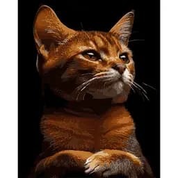 Картина по номерам Strateg Рыжий характер на черном фоне 40Х50 см (AH1244)